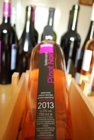 16 Badacsonyi Pinot Noir Rosé
