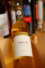 Amicus