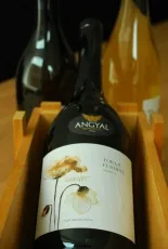 Angyal Üzenet Tokaji Furmint Top Selection