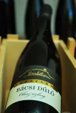 Bácsi dűlő Badacsonyi Olasz rizling