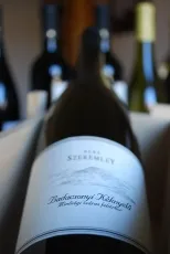 Badacsonyi Kéknyelű