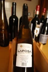 Badacsonyi Olaszrizling