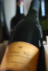 Badacsonyi Pinot Noir