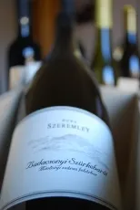 Badacsonyi Szürkebarát