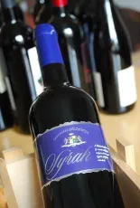 Balatonlellei Syrah