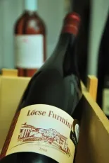 Béres Lőcse Furmint