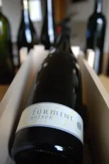 Betsek Furmint