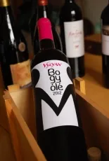 Bogyólé