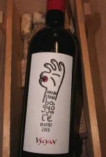 Bogyólé