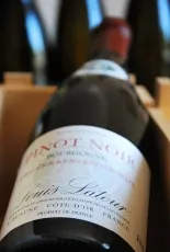 Bourgogne Pinot Noir