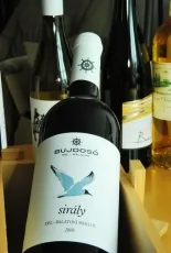 Bujdosó Sirály
