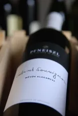 Cabernet Sauvignon – Hűvös Elegancia Cabernet Sauvignon – Hűvös Elegancia