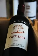 Ceppitaio Val di Cornia DOC