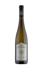 Chardonnay