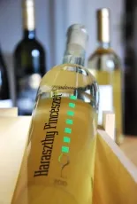 Chardonnay