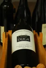 Collio Friulano Collio Friulano