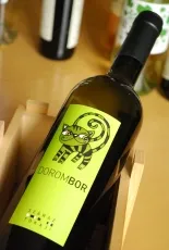 Dorombor Száraz