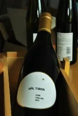 Egri Csillag