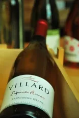 Expression Sauvignon Blanc