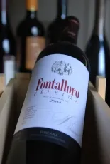 Fontalloro IGT