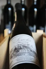 Furmint Furmint