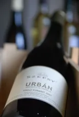 Furmint Urbán dűlő
