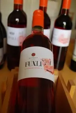 Fuxli