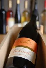 Gabriella Badacsonyi Muscat Ottonel