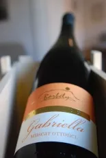 Gabriella Gabriella