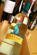 Gatao Vinho Verde