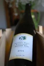 Gyöngyös Bora – Sauvignon Blanc Gyöngyös Bora – Sauvignon Blanc