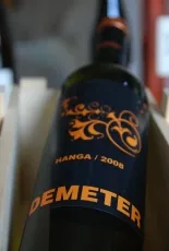 Hanga