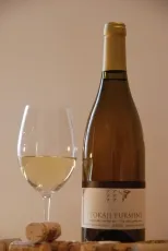 Hétfürtös Tokaji Furmint