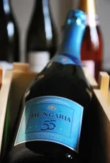 Hungaria 55