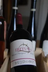Ibituba Ibituba