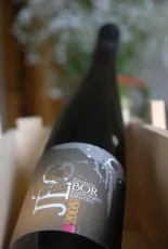 Jégbor