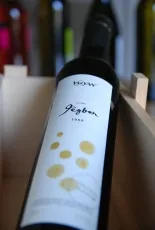 Jégbor Jégbor