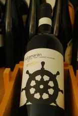 Katamarán Katamarán
