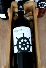 Katamarán Katamarán