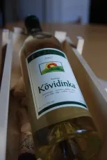 Kövidinka