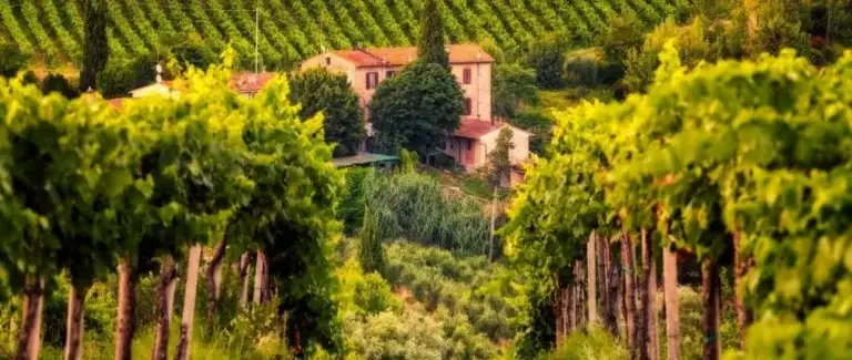 Közép-Olaszország: a Chianti hazája