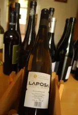 Laposa Szürkebarát Laposa Szürkebarát