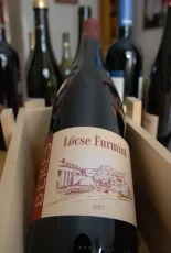 Lőcse Furmint