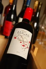 Lugas Vörös