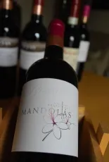 Mandolás
