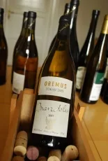 Mandolás Furmint