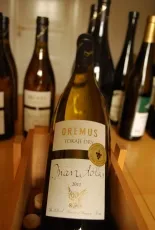 Mandolás Furmint