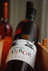 Márton napi újbor – Rosé Márton napi újbor – Rosé
