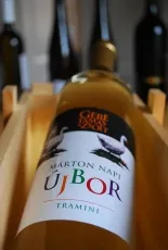 Márton napi újbor – Tramini Márton napi újbor – Tramini