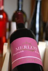 Merlot